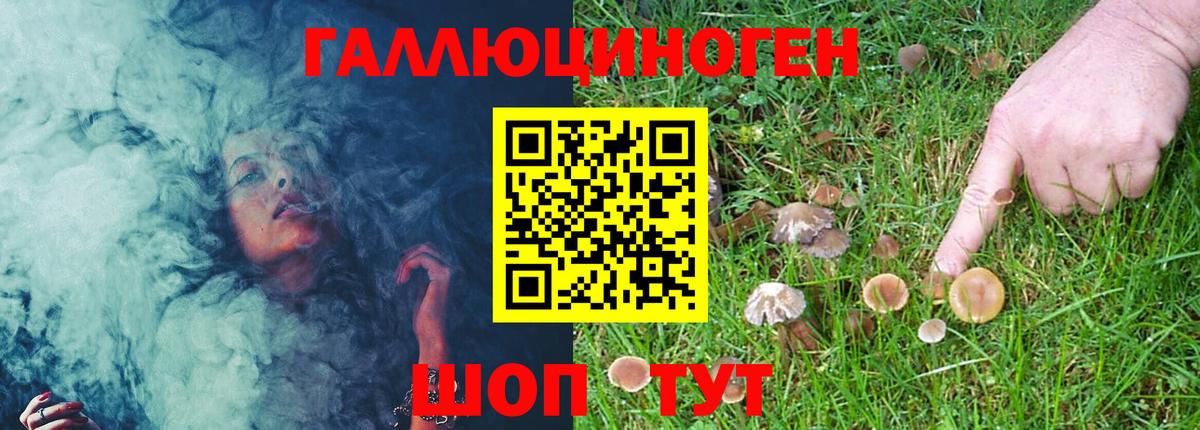 Галлюциногенные грибы GOLDEN TEACHER  Псилоцибиновые грибы Psilocybe  Вход с VPN  Коммунар 