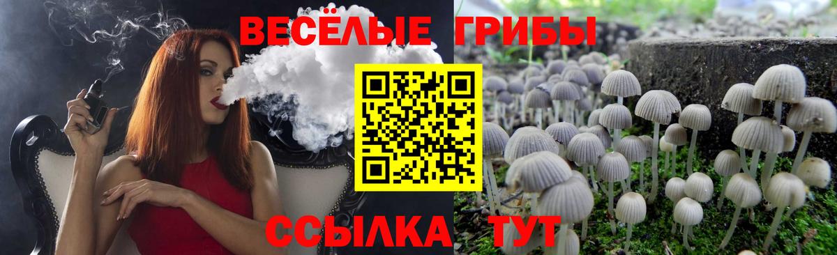 Галлюциногенные грибы мухоморы Коммунар